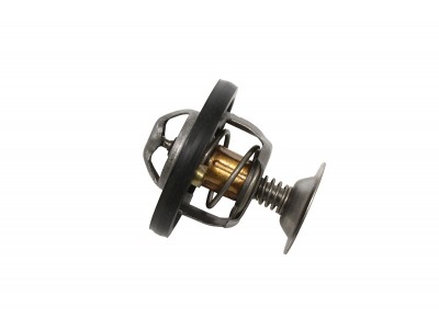 Degree Thermostat - OEM