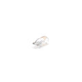 Couple Light Bulbs - 12v 5W without socket - RING