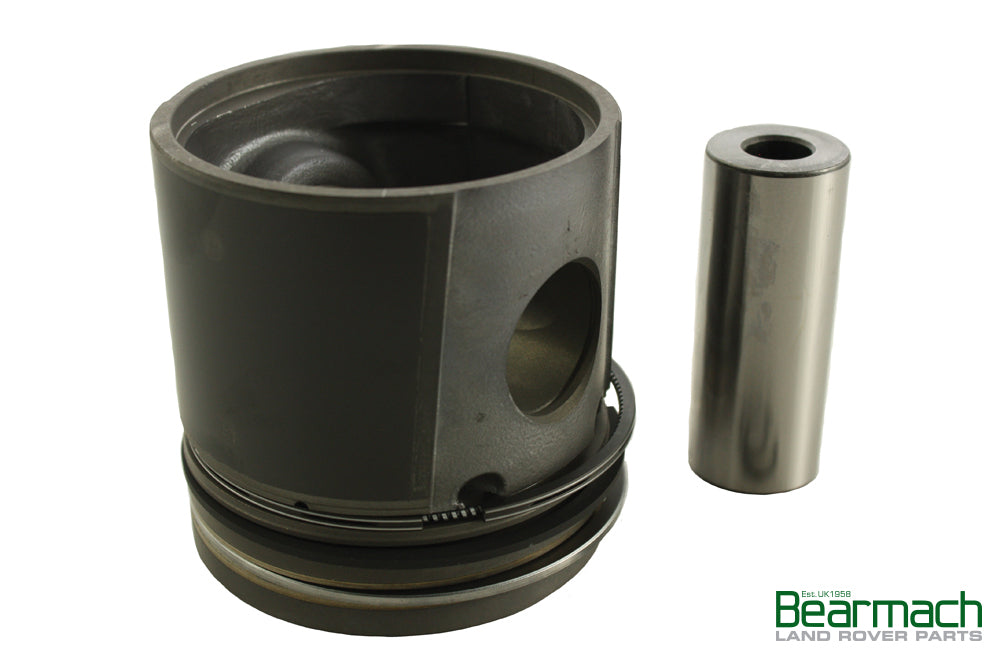 Piston Assembly + 10 - ALLMAKES