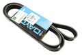 Drive Belt Alternator - DAYCO