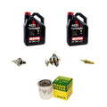 Kit de démarrage - moteur 300TDI - AG PARTS