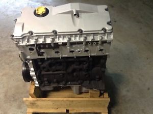 Motor Desnudo - NWS