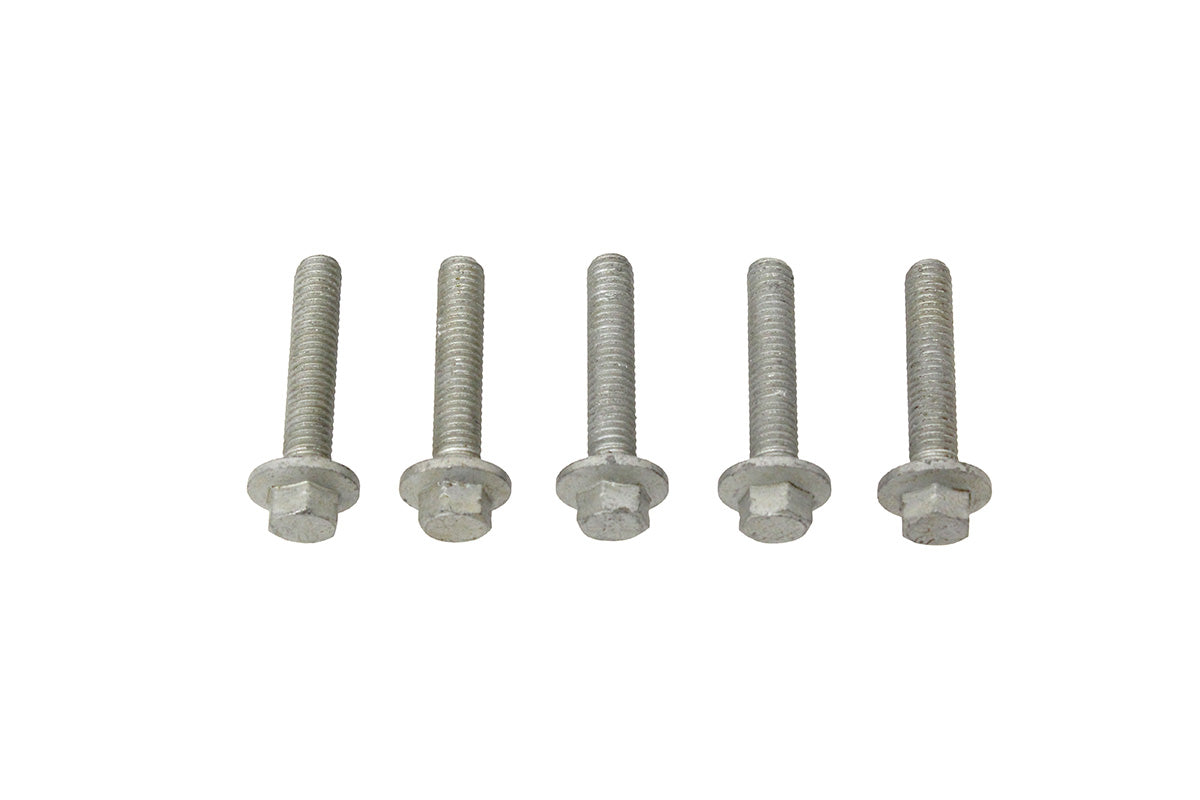 Tornillo - 5 Unidades