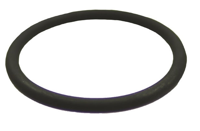 O Ring Fuel Pipe - DELPHI