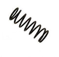 Front RH Coil Spring - ALLMAKES